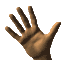 hand Image